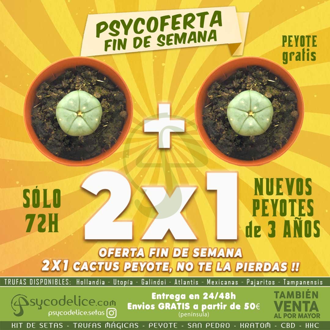 2x1 Cactus Peyote con 3 Años de Crecimiento