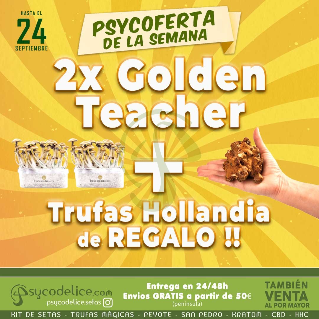 comprar pan de setas golden teacher