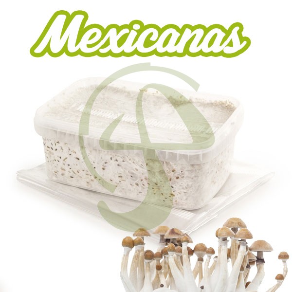 comprar kit setas mexicanas