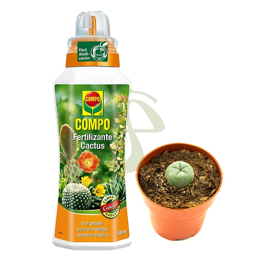 Cactus Peyote + Fertilizante Compo