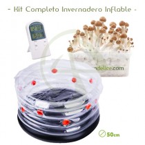 Kit Completo Invernadero Inflable 50cm Diámetro