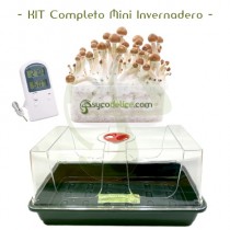 Kit Completo Mini Invernadero para cultivo de setas