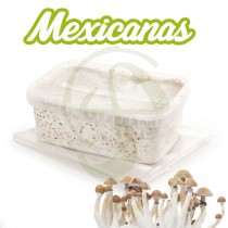 comprar kit setas mexicanas