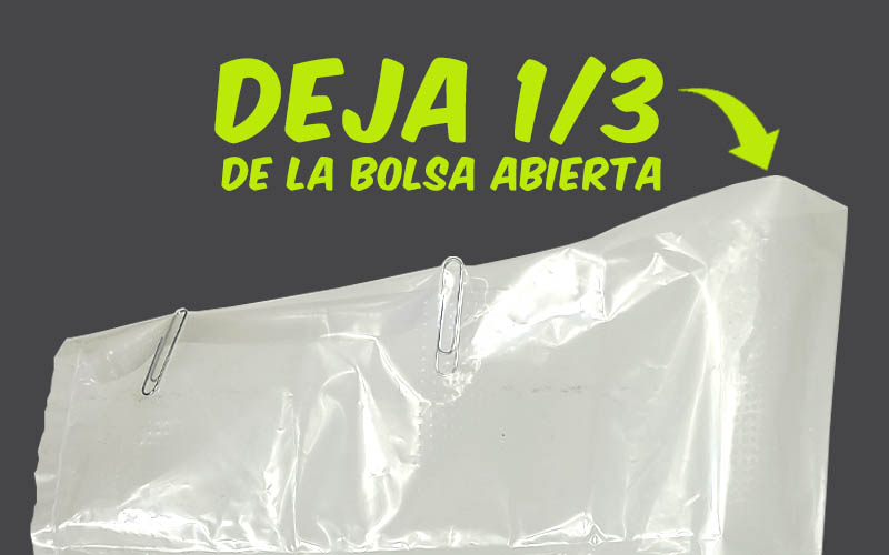 TERCIO DE BOLSA ABIERTA EN BOLSA DE CULTIVO DE SETAS