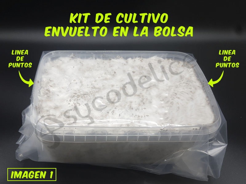 KIT DE SETAS PYSCODELICE